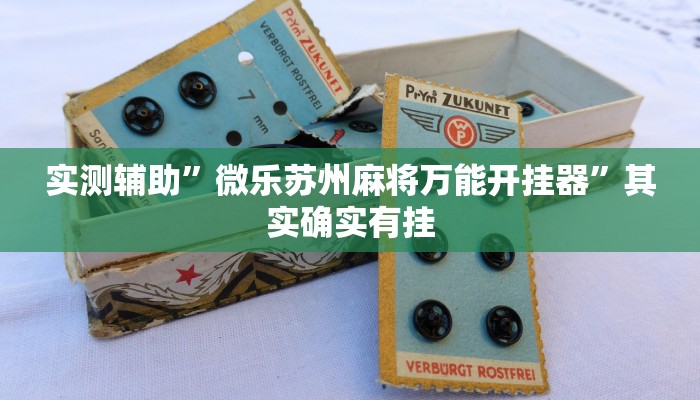 实测辅助”微乐苏州麻将万能开挂器”其实确实有挂