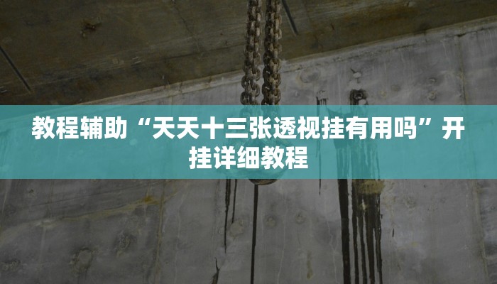 教程辅助“天天十三张透视挂有用吗”开挂详细教程