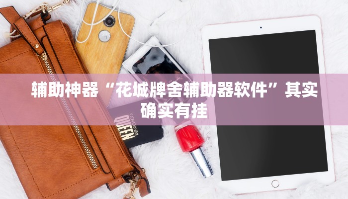 辅助神器“花城牌舍辅助器软件”其实确实有挂