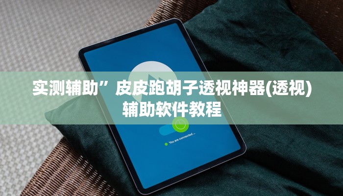 实测辅助”皮皮跑胡子透视神器(透视)辅助软件教程