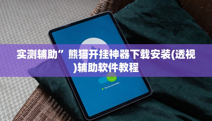 实测辅助”熊猫开挂神器下载安装(透视)辅助软件教程