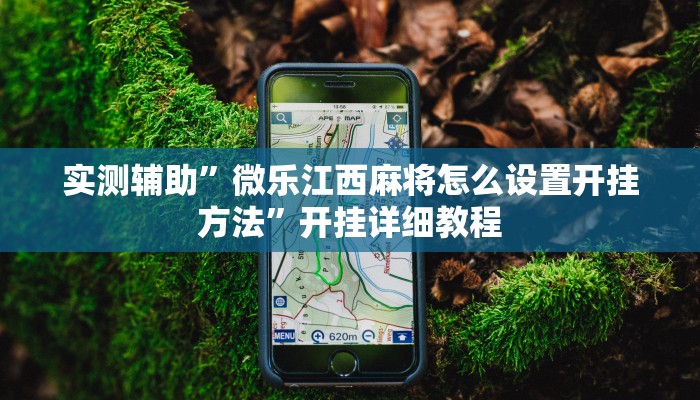 实测辅助”微乐江西麻将怎么设置开挂方法”开挂详细教程