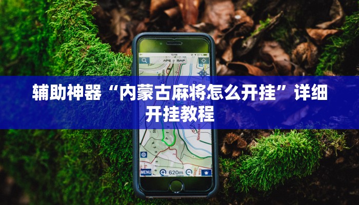 实测辅助”达人十三水辅助软件”开挂详细教程