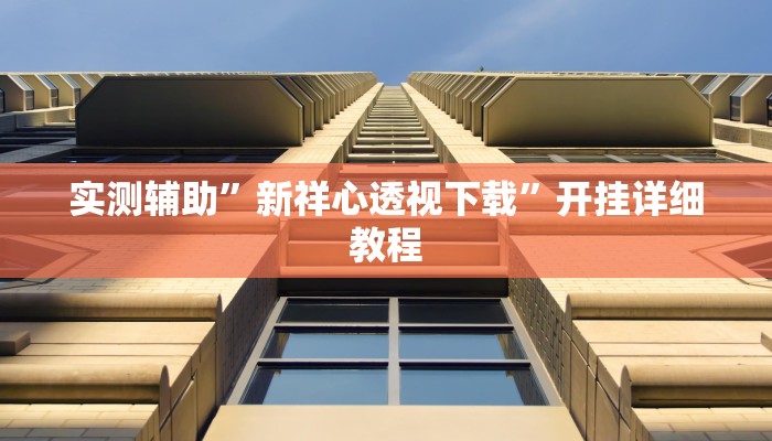 实测辅助”新祥心透视下载”开挂详细教程