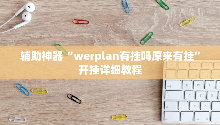 辅助神器“werplan有挂吗原来有挂”开挂详细教程