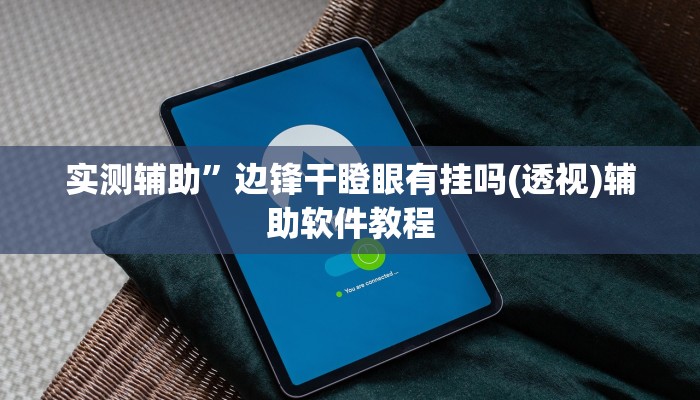 实测辅助”边锋干瞪眼有挂吗(透视)辅助软件教程