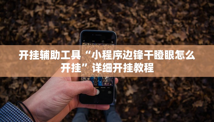 开挂辅助工具“小程序边锋干瞪眼怎么开挂”详细开挂教程