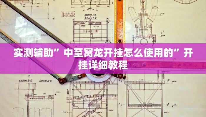 实测辅助”中至窝龙开挂怎么使用的”开挂详细教程