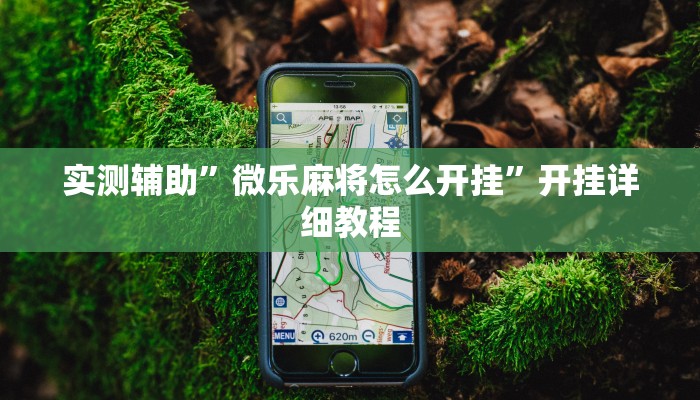 教程辅助“新金龙透视挂”开挂详细教程
