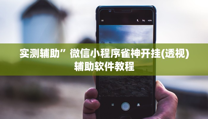 实测辅助”微信小程序雀神开挂(透视)辅助软件教程