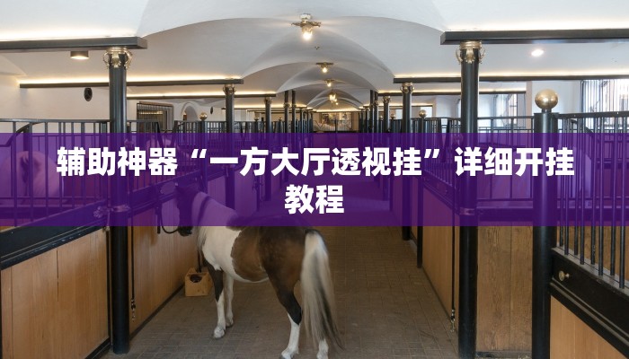 辅助神器“一方大厅透视挂”详细开挂教程