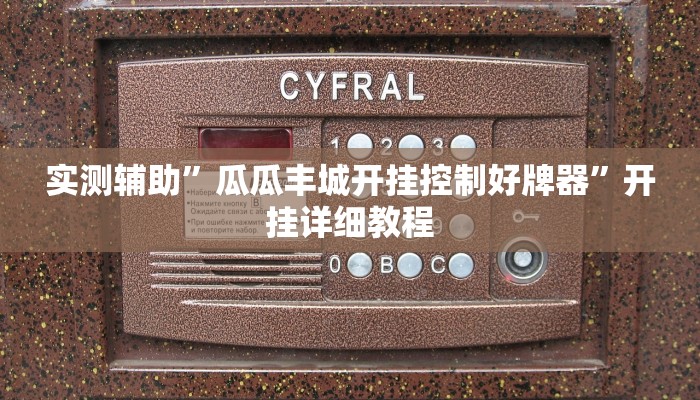实测辅助”瓜瓜丰城开挂控制好牌器”开挂详细教程