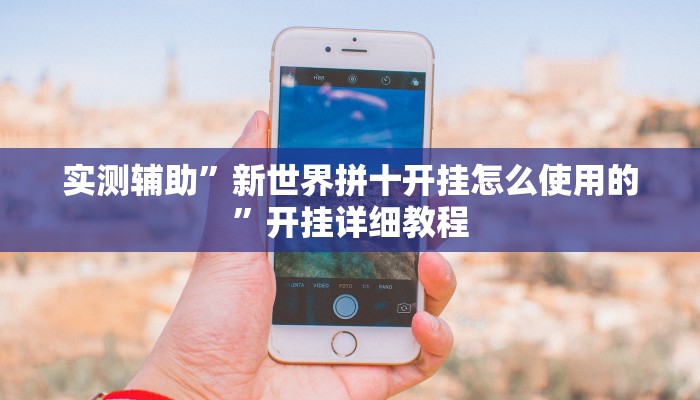 实测辅助”新世界拼十开挂怎么使用的”开挂详细教程