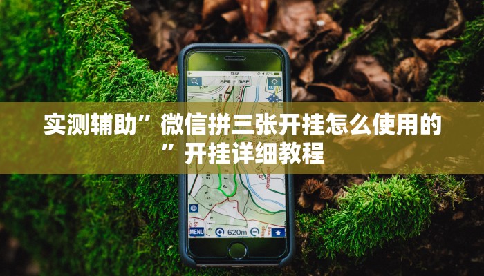 实测辅助”微信拼三张开挂怎么使用的”开挂详细教程