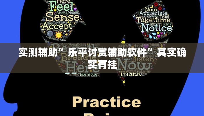 实测辅助”乐平讨赏辅助软件”其实确实有挂