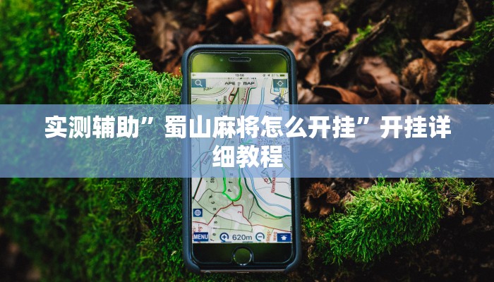 实测辅助”蜀山麻将怎么开挂”开挂详细教程