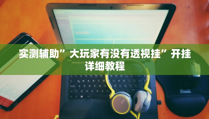 实测辅助”大玩家有没有透视挂”开挂详细教程