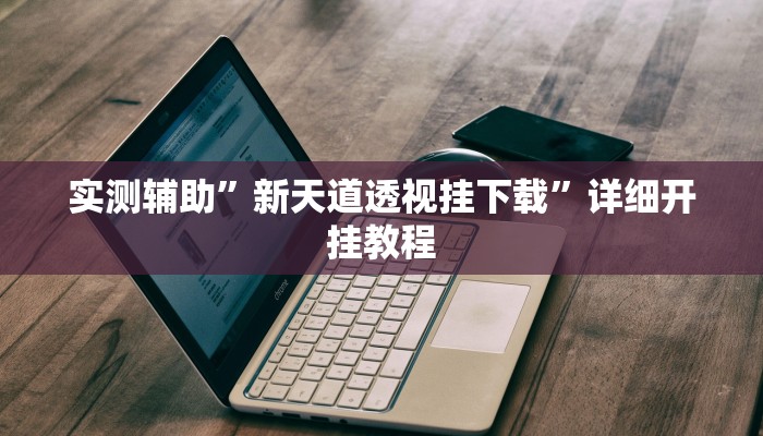 实测辅助”新天道透视挂下载”详细开挂教程