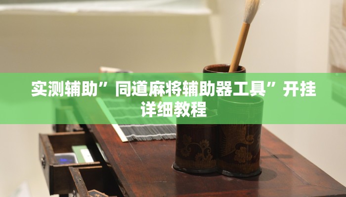 实测辅助”同道麻将辅助器工具”开挂详细教程