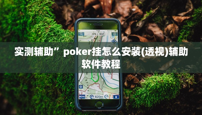实测辅助”poker挂怎么安装(透视)辅助软件教程