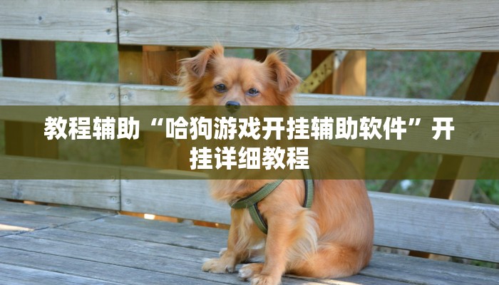 教程辅助“哈狗游戏开挂辅助软件”开挂详细教程