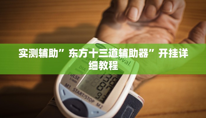 实测辅助”东方十三道辅助器”开挂详细教程