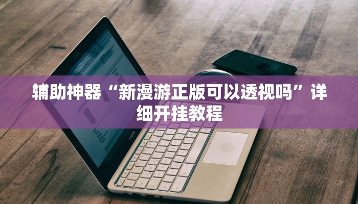 辅助神器“新漫游正版可以透视吗”详细开挂教程