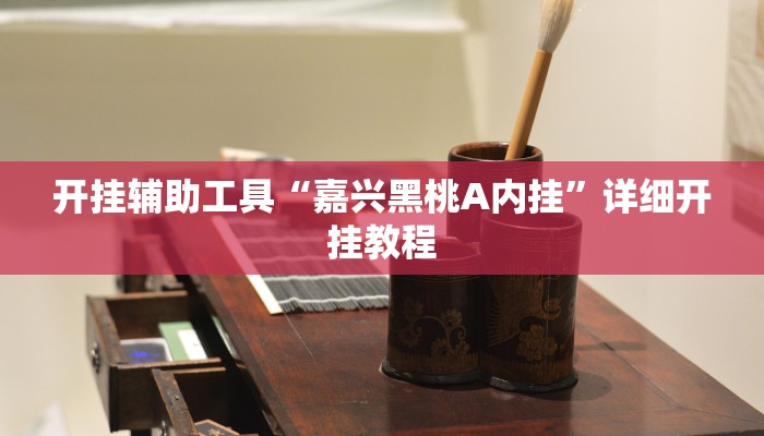 开挂辅助工具“嘉兴黑桃A内挂”详细开挂教程