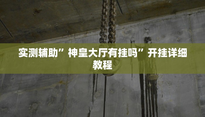 实测辅助”神皇大厅有挂吗”开挂详细教程