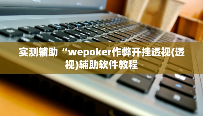 实测辅助“wepoker作弊开挂透视(透视)辅助软件教程