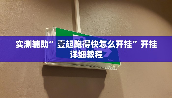 实测辅助”壹起跑得快怎么开挂”开挂详细教程