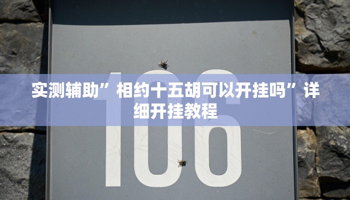 实测辅助”相约十五胡可以开挂吗”详细开挂教程