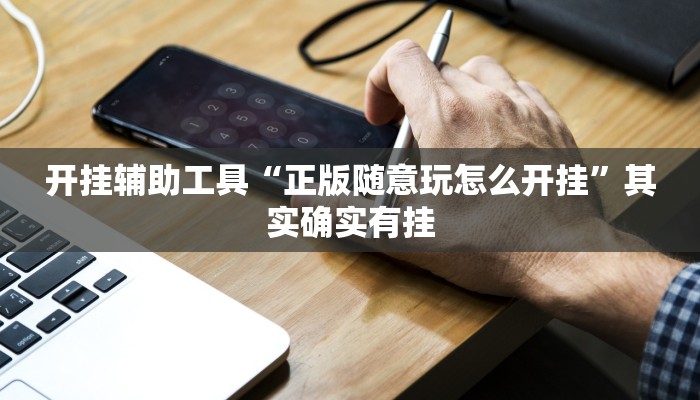 开挂辅助工具“正版随意玩怎么开挂”其实确实有挂