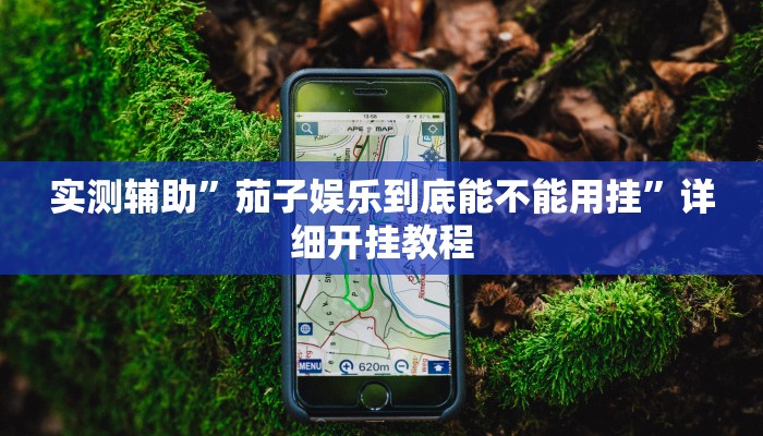实测辅助”茄子娱乐到底能不能用挂”详细开挂教程