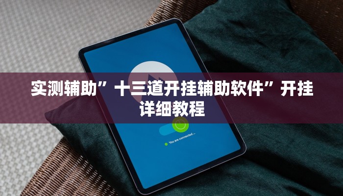 实测辅助”十三道开挂辅助软件”开挂详细教程