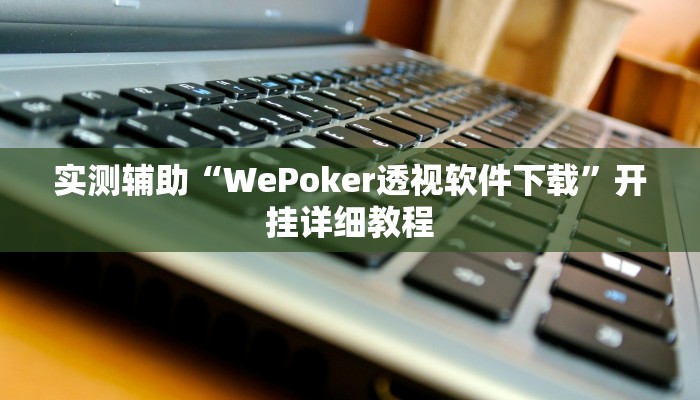 实测辅助“WePoker透视软件下载”开挂详细教程