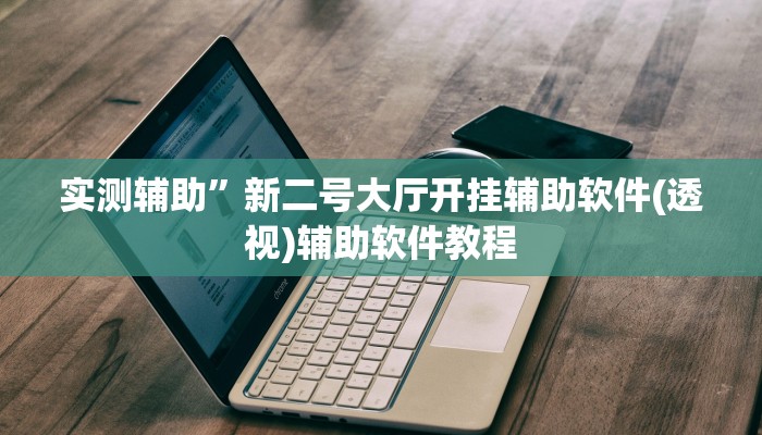 实测辅助”新二号大厅开挂辅助软件(透视)辅助软件教程