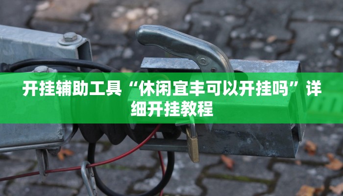 开挂辅助工具“休闲宜丰可以开挂吗”详细开挂教程