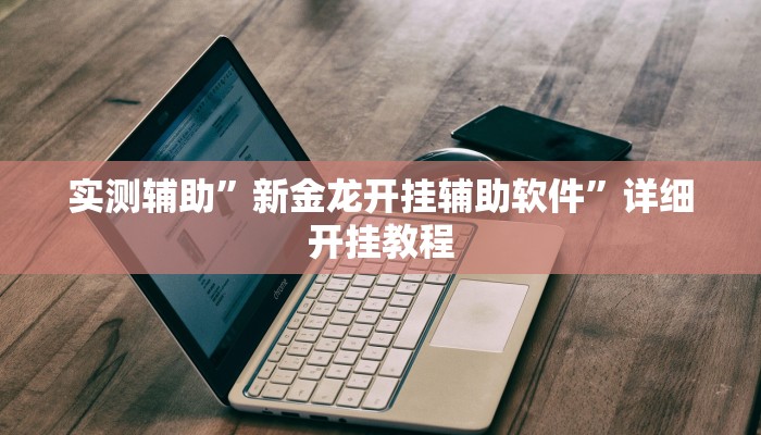 实测辅助”新金龙开挂辅助软件”详细开挂教程
