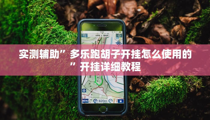 实测辅助”多乐跑胡子开挂怎么使用的”开挂详细教程