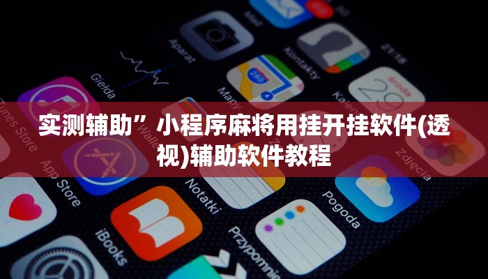 实测辅助”小程序麻将用挂开挂软件(透视)辅助软件教程