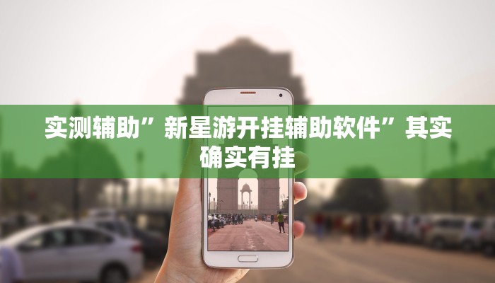 实测辅助”新星游开挂辅助软件”其实确实有挂