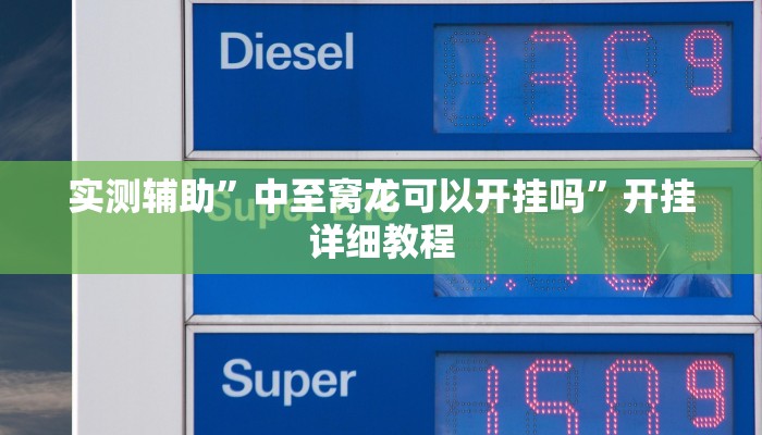 实测辅助”中至窝龙可以开挂吗”开挂详细教程