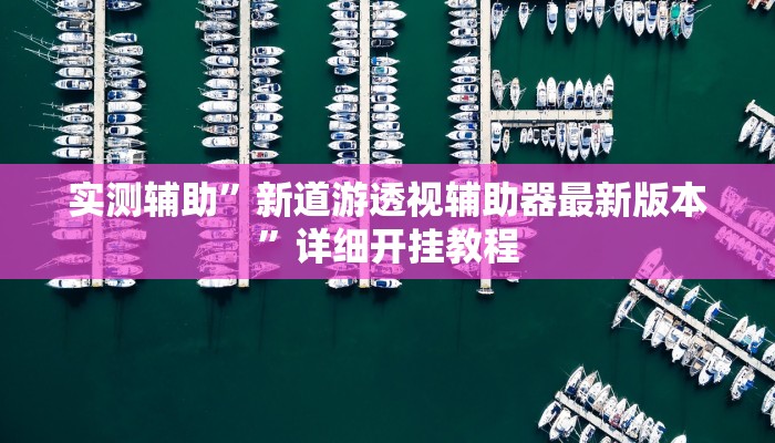 实测辅助”新道游透视辅助器最新版本”详细开挂教程