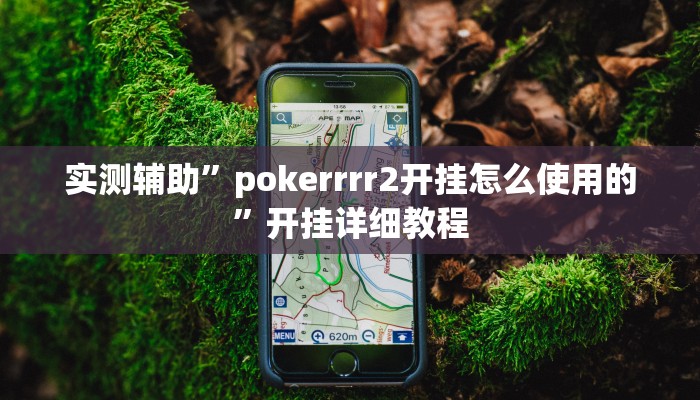 实测辅助”花城牌舍辅助怎么开挂(透视)辅助软件教程