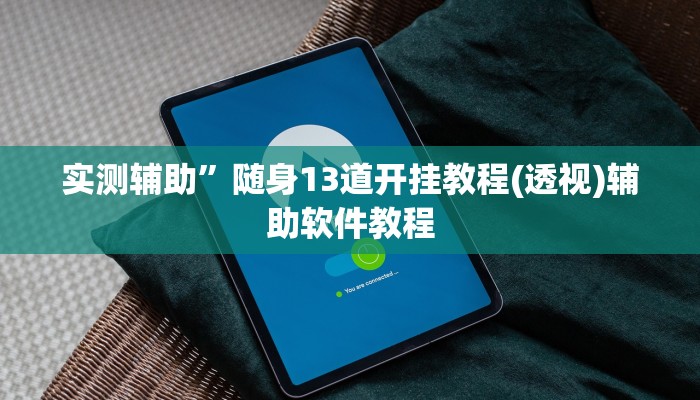 实测辅助”随身13道开挂教程(透视)辅助软件教程