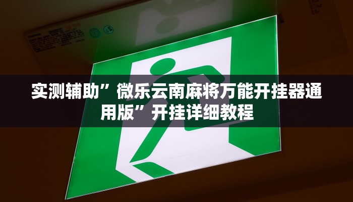实测辅助”微乐云南麻将万能开挂器通用版”开挂详细教程