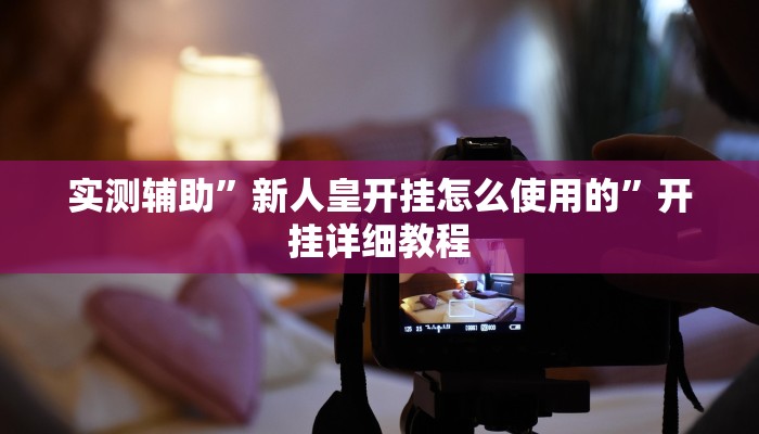 实测辅助”新人皇开挂怎么使用的”开挂详细教程