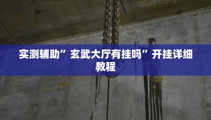 实测辅助”玄武大厅有挂吗”开挂详细教程