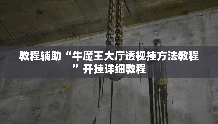 教程辅助“牛魔王大厅透视挂方法教程”开挂详细教程